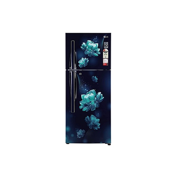 LG 260 L 2 Star Double Door Refrigerator (GL-S292RBCY)